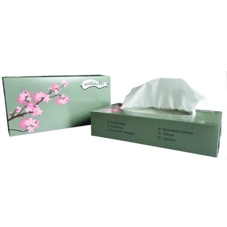 Boite distributrice de 100 mouchoirs1653