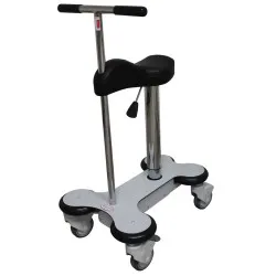 Rollator Modelito WP Home