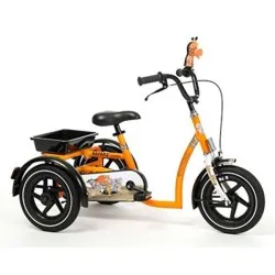 Tricycle Safari enfant