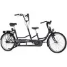 Tricycle Copilot tandem4812