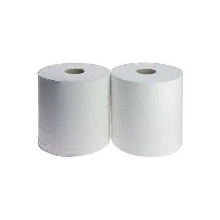 Lot de 2 boules d'essuyage5187