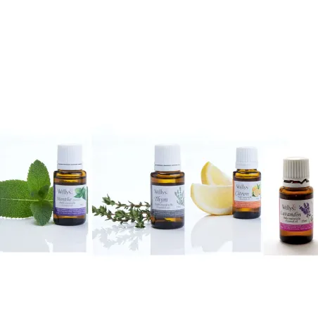 Huiles essentielles pour diffuseur – Flacon compte-goutte 15 ml5951