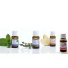 Huiles essentielles pour diffuseur – Flacon compte-goutte 15 ml5951