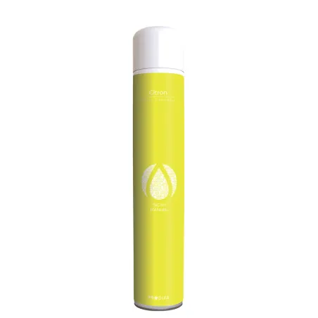 Désodorisant Aérosol 750 ml8948
