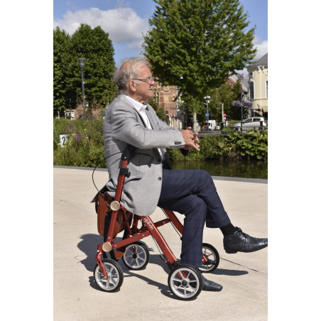 Rollator Pliant - Trive Vert9566