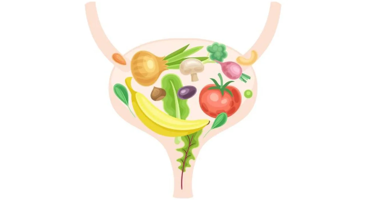 Quels aliments contre l’incontinence urinaire ?